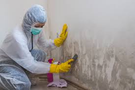 Best Commercial Mold Inspection in Milan, OH